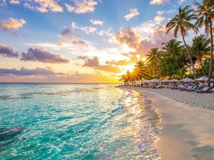 Plajă vibrantă cu apă cristalină și palmieri.