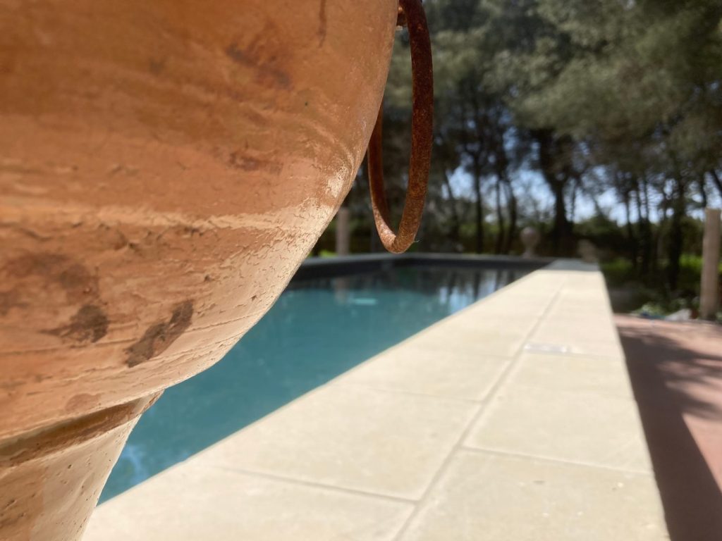 Petra Country House: Oasis of Peace Among Olive Trees
